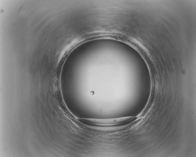 X0000059101357200510172109