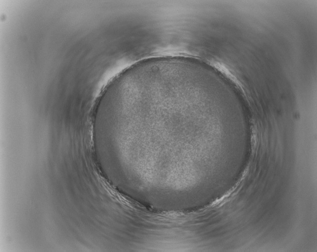 X0000059101358200510172109