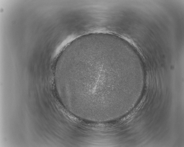 X0000059101359200510172109