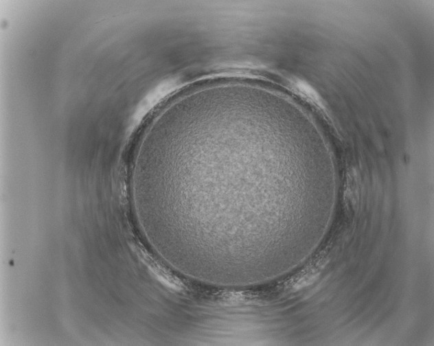 X0000059101360200510172109