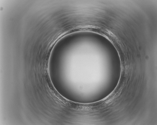 X0000059101361200510172109