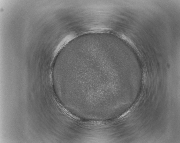 X0000059101362200510172109