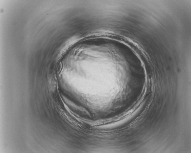 X0000059101363200510172109