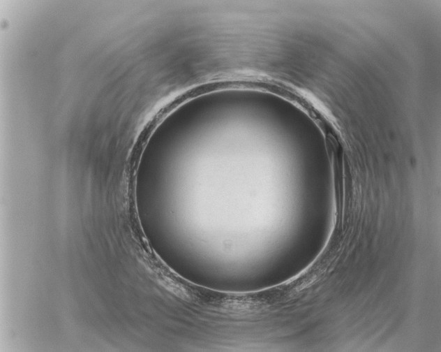 X0000059101364200510172109