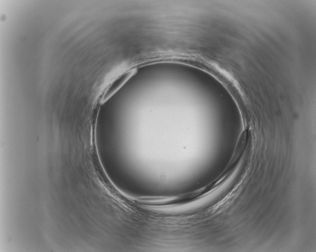 X0000059101365200510172109