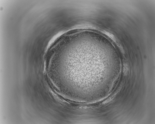 X0000059101366200510172109