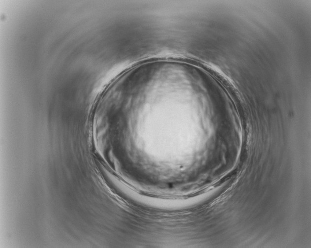 X0000059101367200510172109