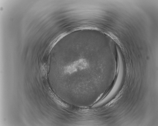 X0000059101369200510172109