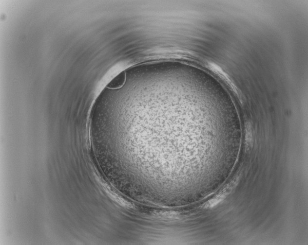 X0000059101370200510172109