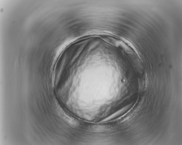 X0000059101371200510172109