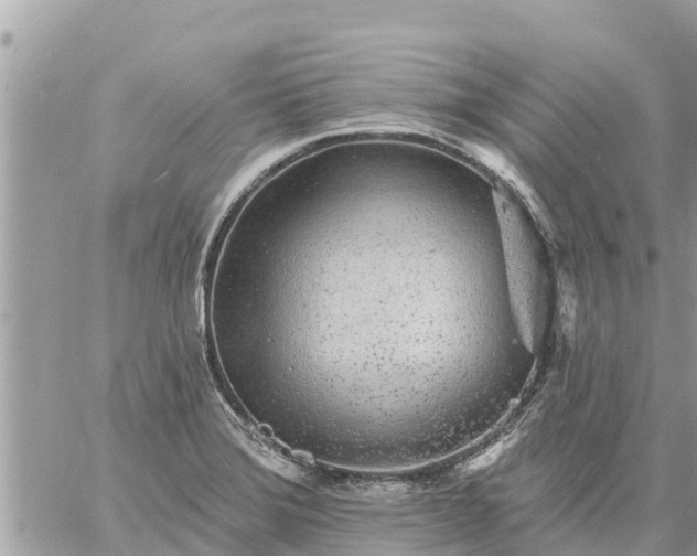 X0000059101372200510172109