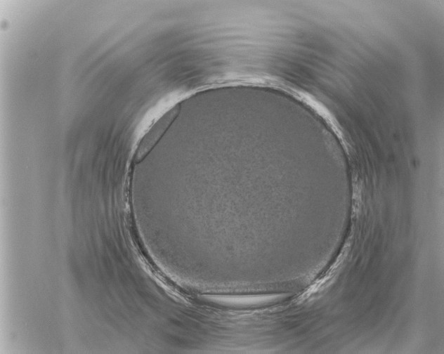 X0000059101373200510172109