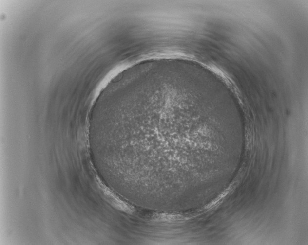 X0000059101374200510172109