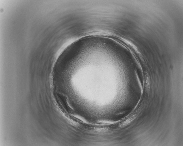 X0000059101375200510172109