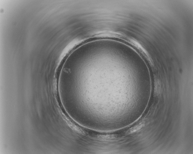 X0000059101376200510172109