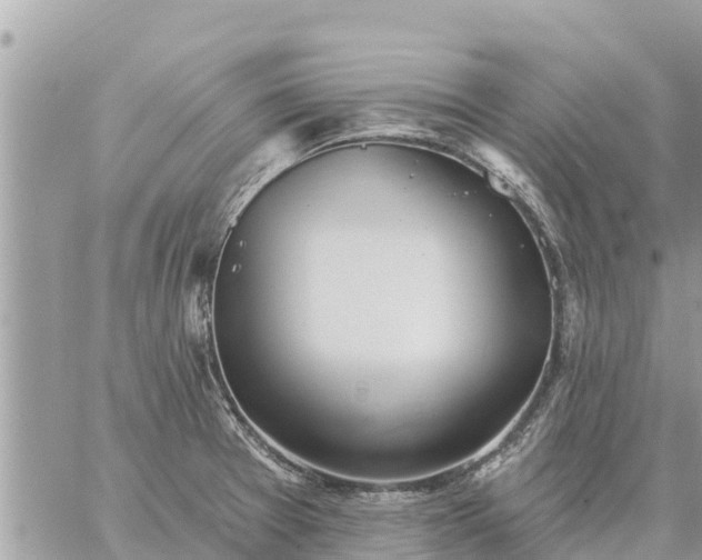 X0000059101377200510172109