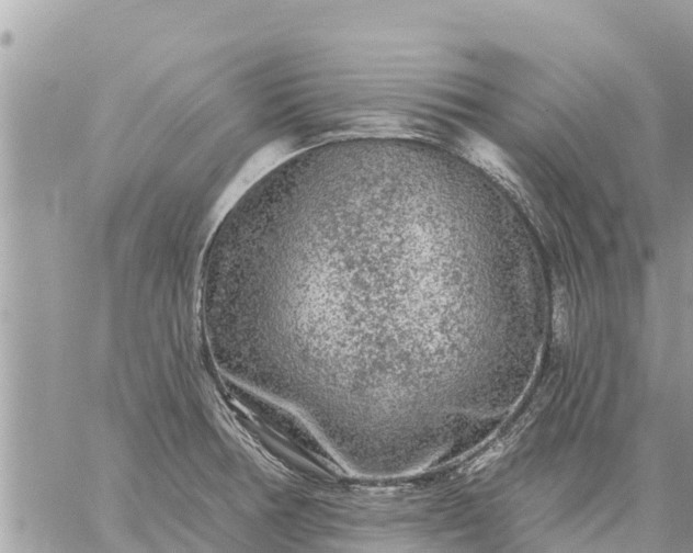 X0000059101378200510172109