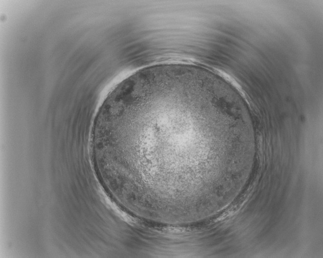 X0000059101379200510172109