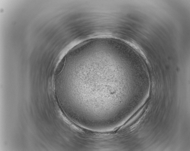 X0000059101382200510172109