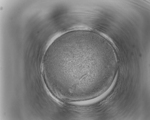 X0000059101383200510172109