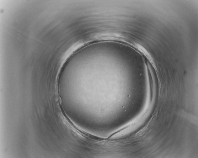 X0000059101384200510172109