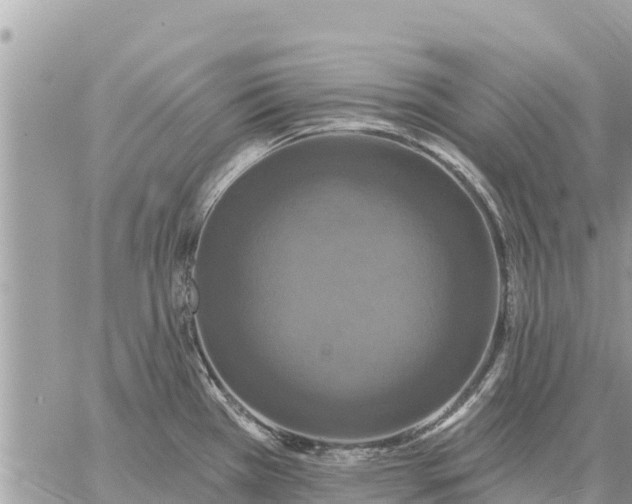 X0000059101385200510172109