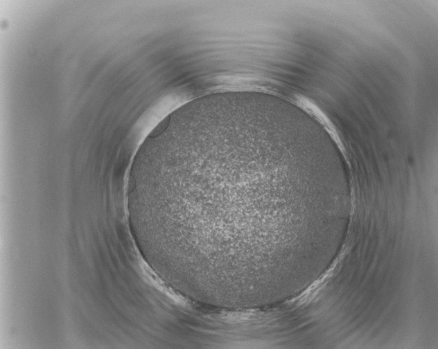 X0000059101386200510172109