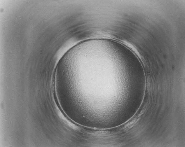 X0000059101387200510172109