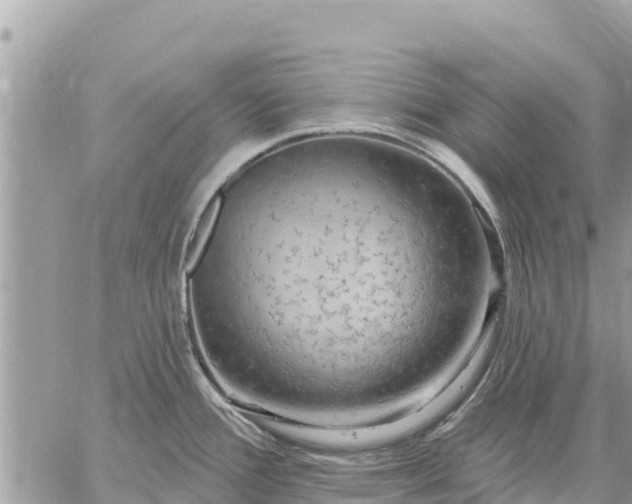 X0000059101388200510172109