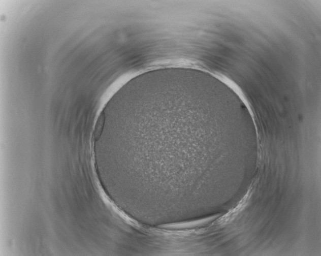 X0000059101389200510172109