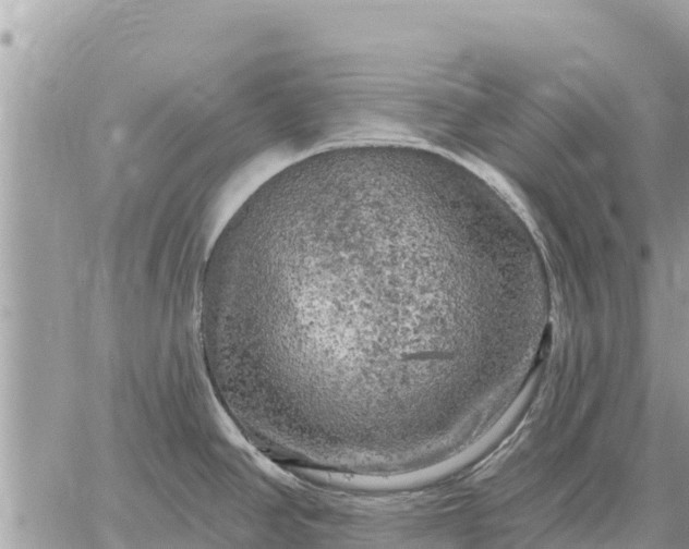 X0000059101390200510172109