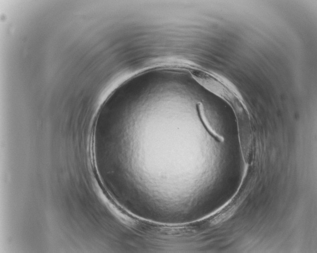 X0000059101391200510172109