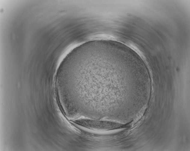 X0000059101392200510172109