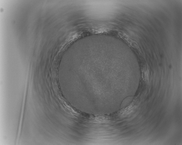 X0000059101393200510172108