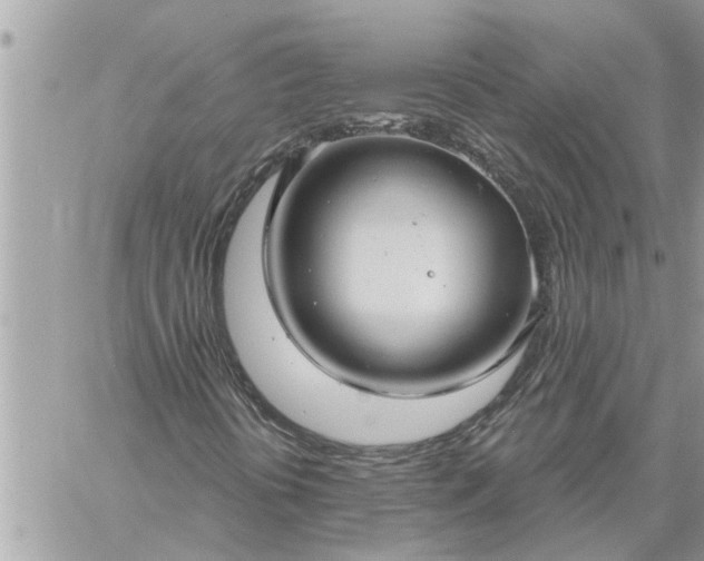 X0000059101394200510172108