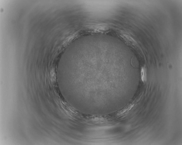 X0000059101395200510172108