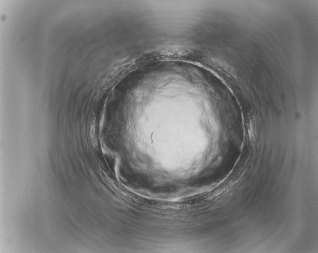 X0000059101396200510172108