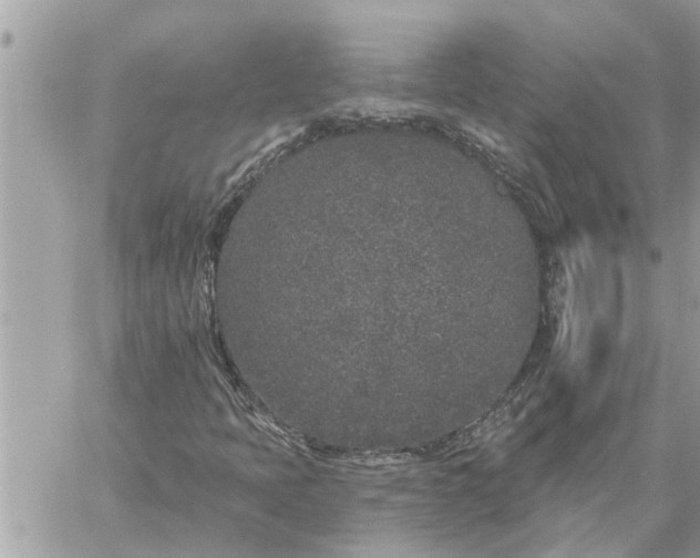 X0000059101397200510172108