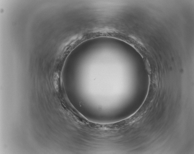 X0000059101398200510172108