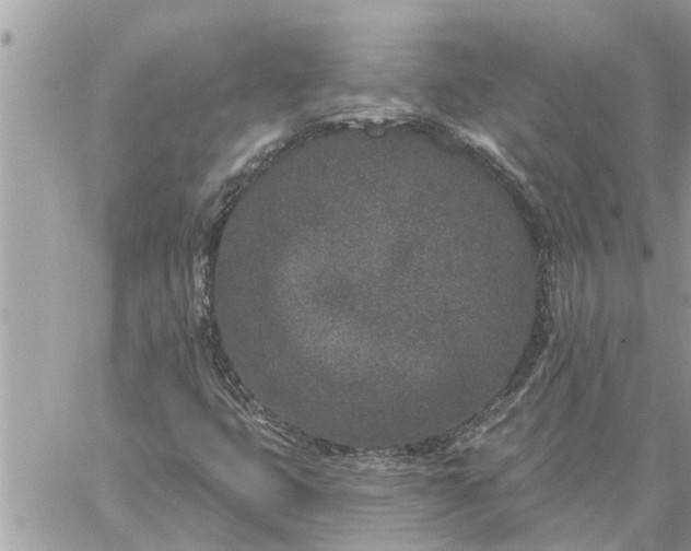 X0000059101399200510172108