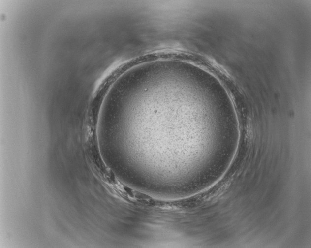 X0000059101400200510172108