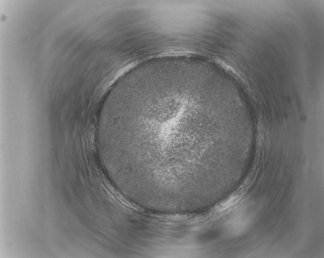 X0000059101401200510172108