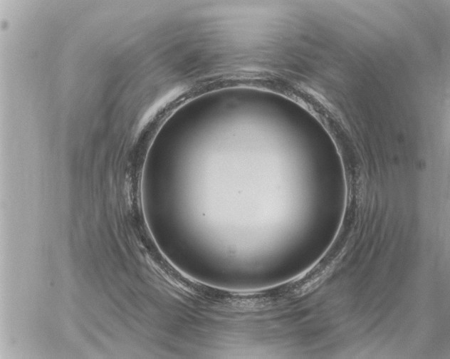 X0000059101402200510172108