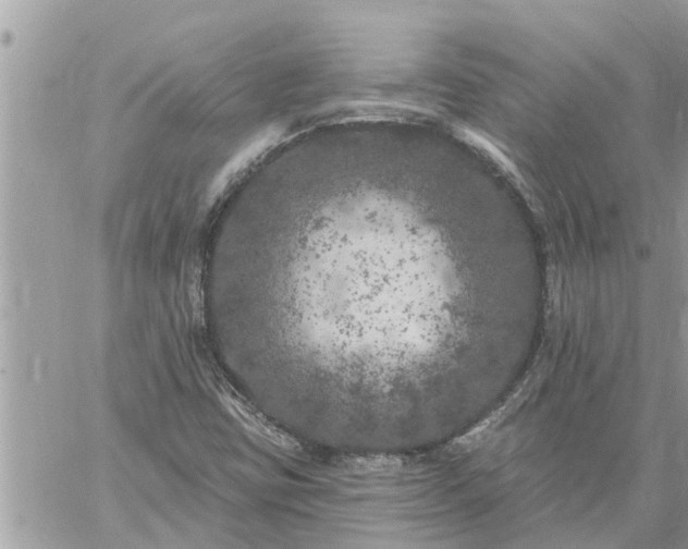 X0000059101403200510172108