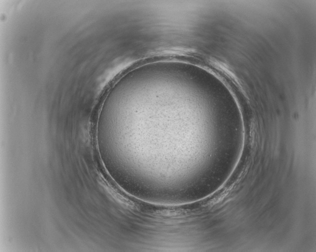 X0000059101404200510172108