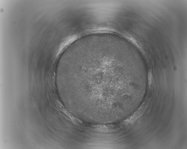 X0000059101405200510172108