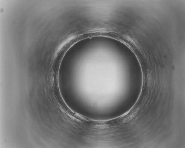 X0000059101406200510172108