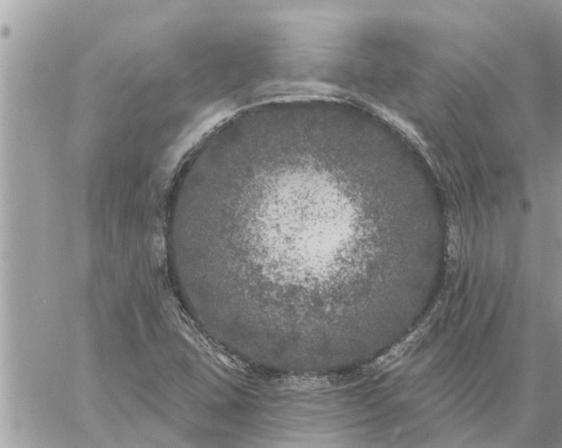 X0000059101407200510172108