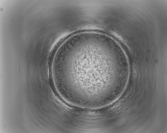 X0000059101408200510172108