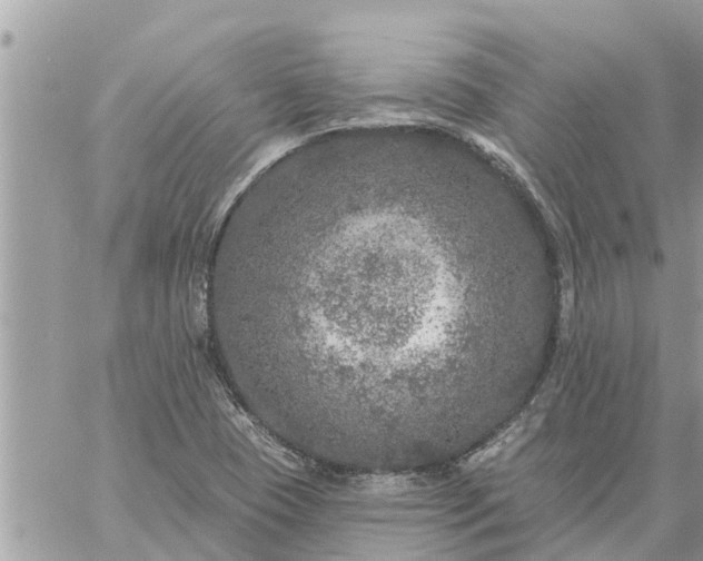 X0000059101409200510172108